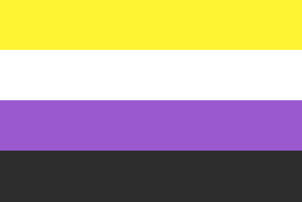 The image features the non-binary pride flag.